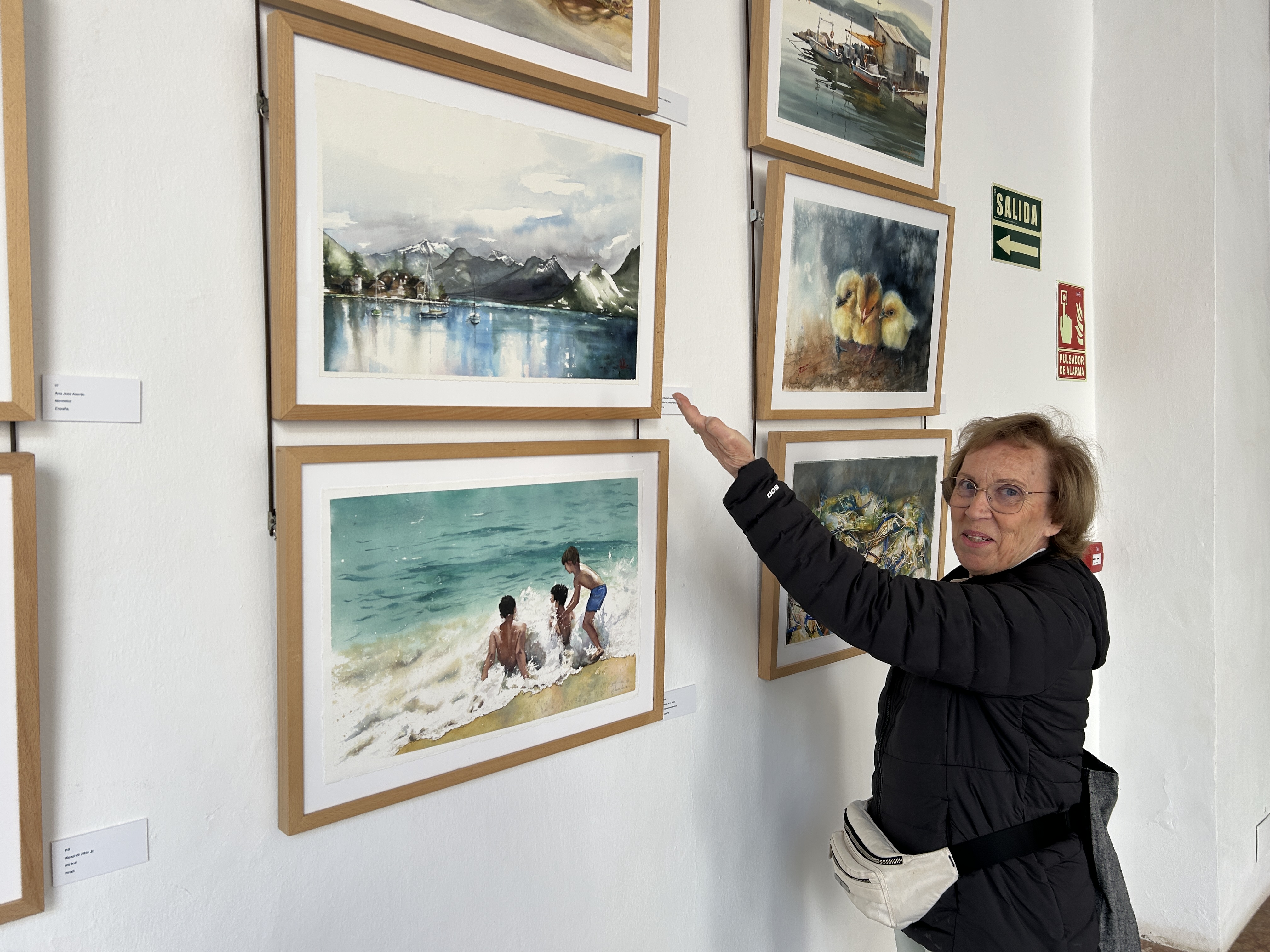 Artiste FIA Annecy
