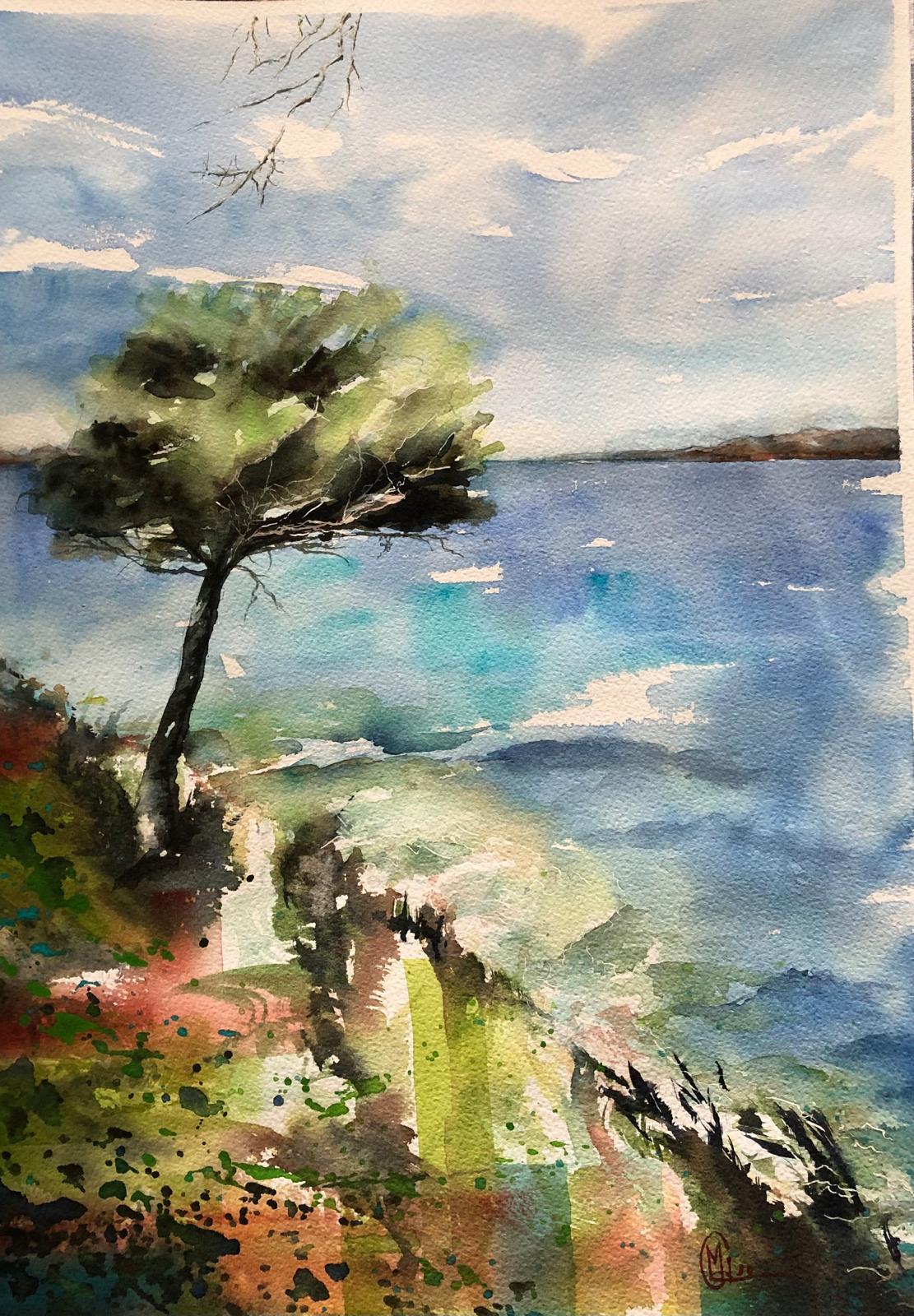 Les pins penchés au Rayol Canadel